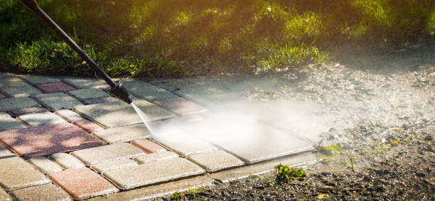 Best Roof Washing  in Villas, FL
